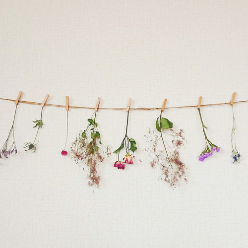 スモークツリーのドライフラワーガーランド❀ ドライフラワー cocoshop