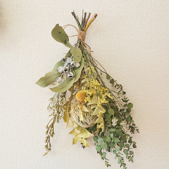 専用＊バンクシア＆クエキフオリア ドライフラワースワッグ 専用＊バンクシア＆クエキフオリア ドライフラワースワッグ 楽天市場