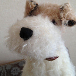 ワイヤーフォックステリアのバブ※受注製作となります その他人形