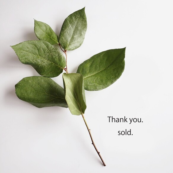 Thankyou,sold. 1枚目の画像