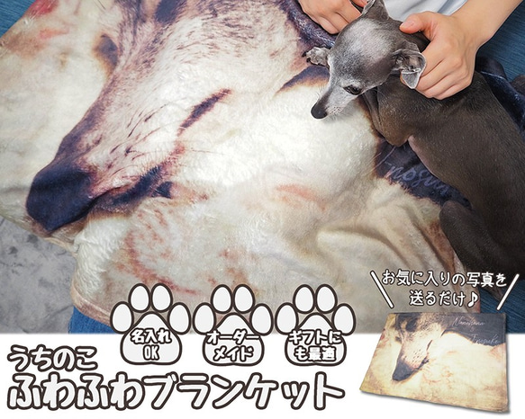 オーダーメイド　うちのこふわふわブランケット　名入れ　ペット　写真　オリジナルグッズ　犬　猫　鳥　うさぎ　ギフト 1枚目の画像