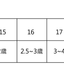 童鞋 玫瑰花 水藍色 第7張的照片