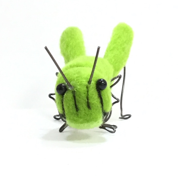 受注製作＊羊毛トノサマバッタ【羊毛フェルト】 羊毛フェルト 真雲天