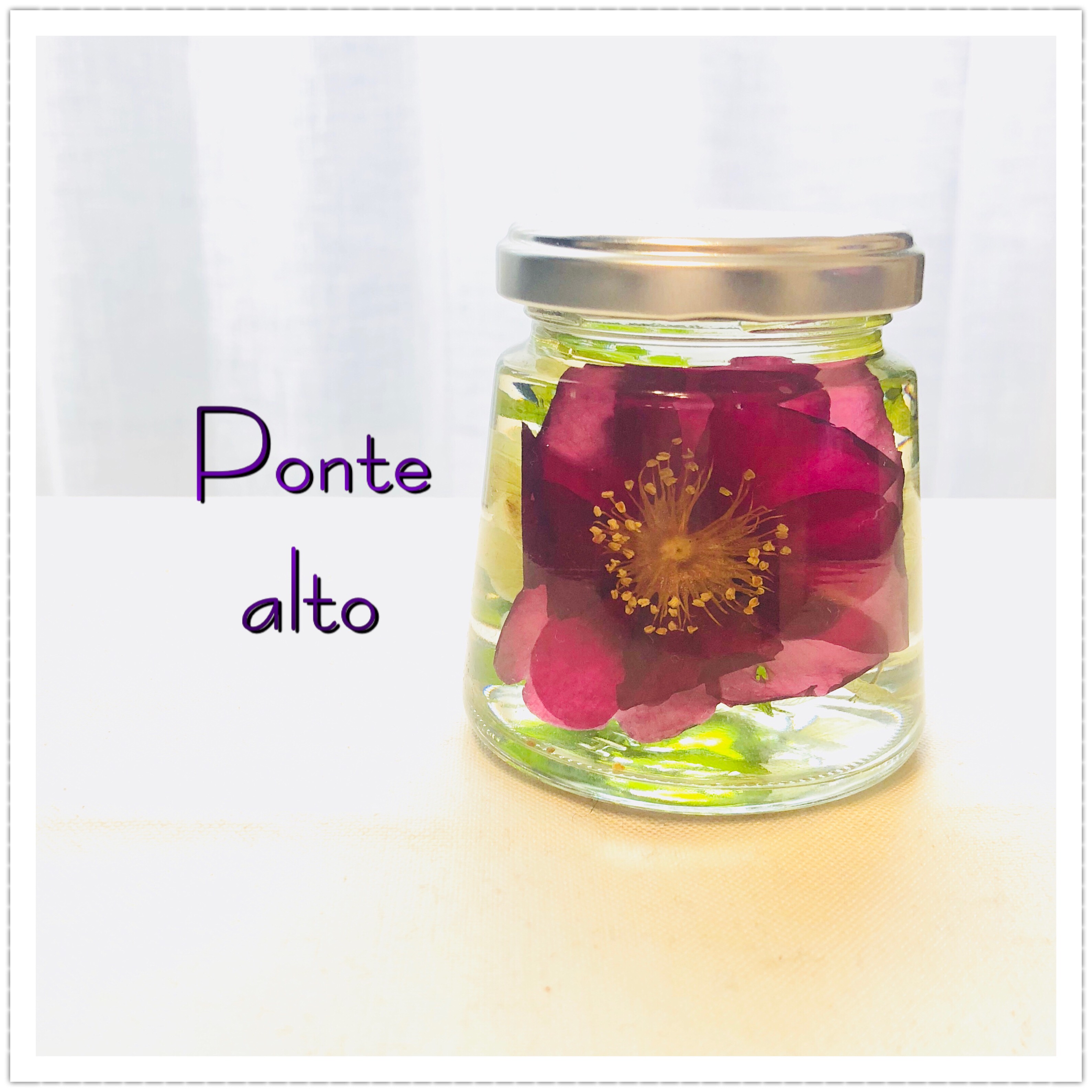 ハーバリウム 椿 ハーバリウム 椿