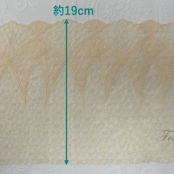 片山チュール刺繍レース 1m スカラップ 薄オレンジ (LSCA92FOSHKY) 2枚目の画像