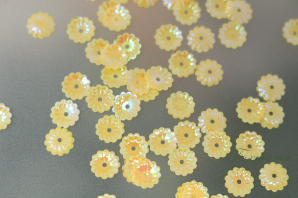 スパンコール 6mm 約340枚(約4g) 菊 カップ オーロラ 黄 (SKC06AYLHL00) 2枚目の画像