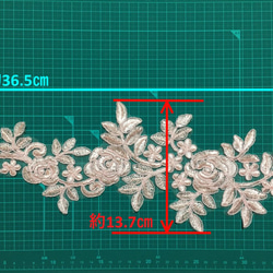  第2張的照片