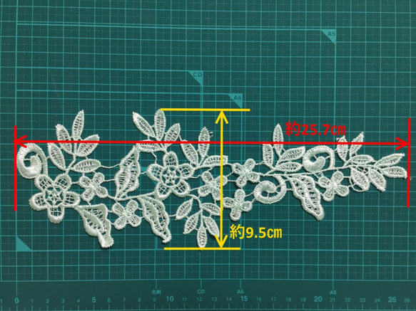  第2張的照片