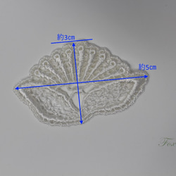  第2張的照片