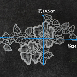 ケミカルレースモチーフ 1枚 花 オフ白・キナリ (MFLB41KNSW00) 2枚目の画像