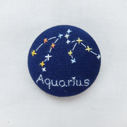 星座のブローチ＊みずがめ座＊刺繍くるみボタン 1枚目の画像