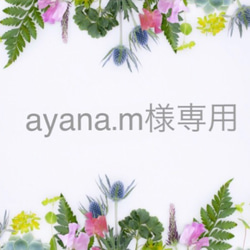 ayana.m様専用 1枚目の画像