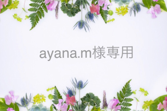 ayana.m様専用 1枚目の画像