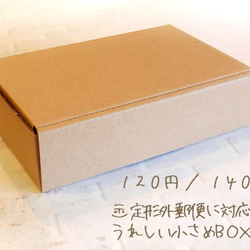 ！送料無料！台紙ぴったり☆定形外郵便で送れる小さいBOX☆ 2枚目の画像
