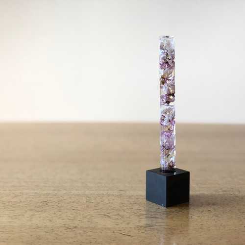 専用ページ　エーデルワイス額縁① ②ハーバリウム （植物標本）アートフレーム2個 f3efa56fb55644d42e86df5782b369