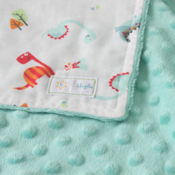寶寶禮物-Baby blanket-小恐龍寶寶毯/豆豆毯 第4張的照片