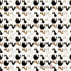 A4クリアファイル　猫のみ5種類各1枚合計5枚セット 4枚目の画像