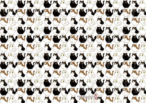 A4クリアファイル　猫のみ5種類各1枚合計5枚セット 4枚目の画像