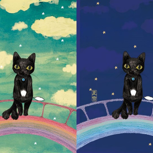 くろねこカード９枚おまとめ aioshop_20250826-6913