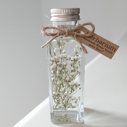 ナチュラルハーバリウム かすみ草 ハーバリウム・植物標本 Flowerlab