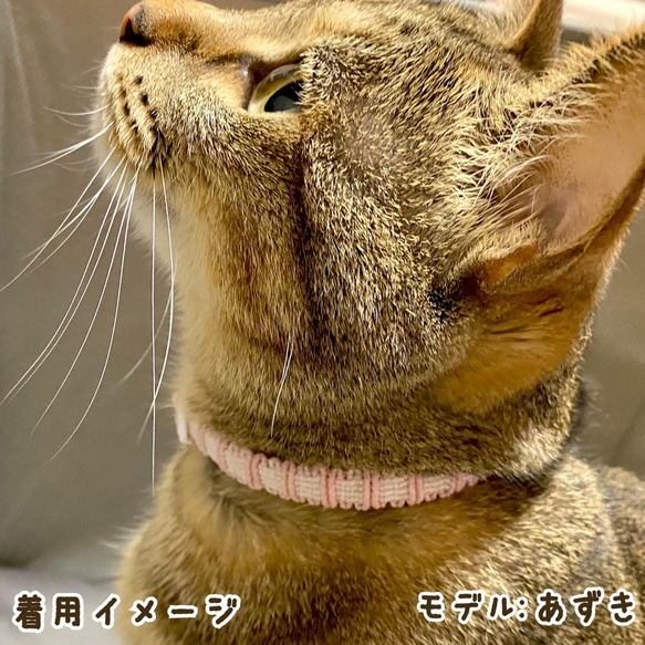 ☆猫首輪☆　『にゃくらめからー』　〜ビタミンカラー〜　安全バックル使用　小型犬にも 8枚目の画像