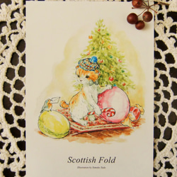 猫のポストカード2枚セット　「スコティッシュフォールド」 3枚目の画像