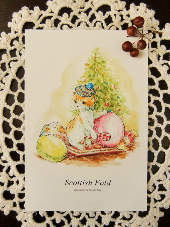 猫のポストカード2枚セット　「スコティッシュフォールド」 3枚目の画像