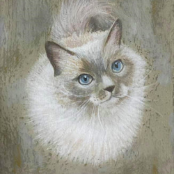 小さな猫の絵「ラグドール」 1枚目の画像