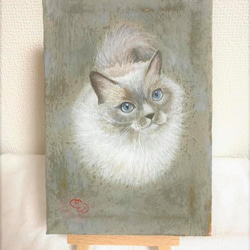 小さな猫の絵「ラグドール」 2枚目の画像