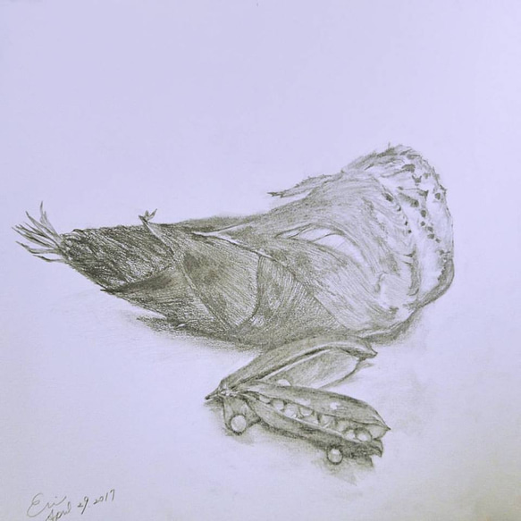 お値下げしました！デッサン「筍」 絵画 marinka 通販 6730753｜Creema