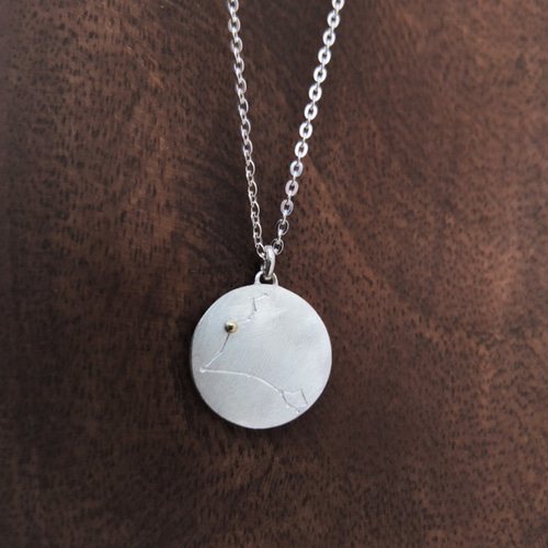 星座コインネックレス silver925 Pisces 魚座 ネックレス 星座コインネックレス silver925 Pisces 魚座 ネックレス