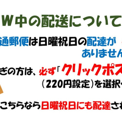 ノーズワイヤー入りガーゼプリーツマスク（大人用）ネイビー 4枚目の画像