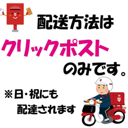 少しお得★ノーズワイヤー入りガーゼプリーツマスク（大人用）4点セット 6枚目の画像