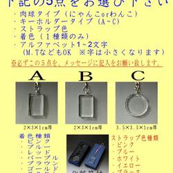 猫 犬 肉球 イニシャル 入り　高級クリスタル ストラップ(化粧箱付）送料無料 4枚目の画像