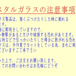 猫 犬 肉球 イニシャル 入り　高級クリスタル ストラップ(化粧箱付）送料無料 5枚目の画像