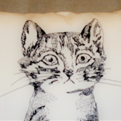 おすまし猫のクッションカバー（桜貝色） 6枚目の画像