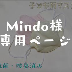 【Mindo様専用】子供用布マスク 1枚目の画像