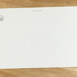 ペチャ犬トリオのXmasカード 2枚セット 4枚目の画像