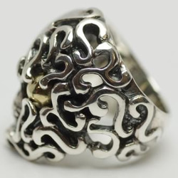 erosion skull ring 3枚目の画像