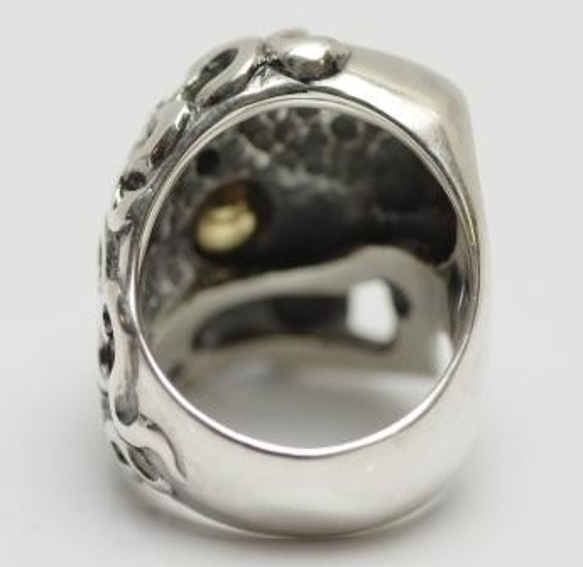 erosion skull ring 4枚目の画像