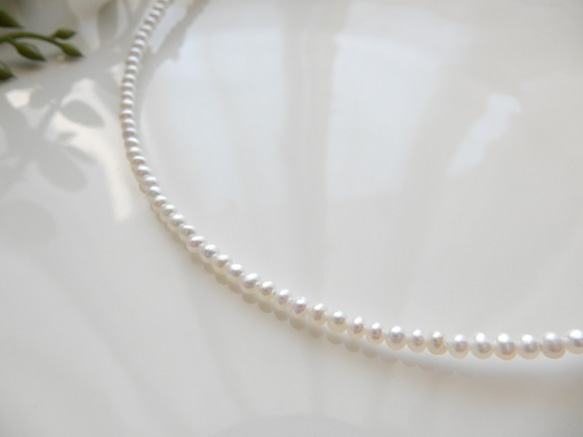 【621】14kgf淡水珍珠2.5mm半圓形項鍊 第1張的照片