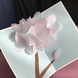 送料無し] ポップアップカード「うす桜」 メッセージカード