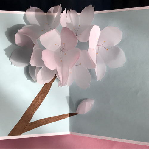 送料無し] ポップアップカード「うす桜」 メッセージカード