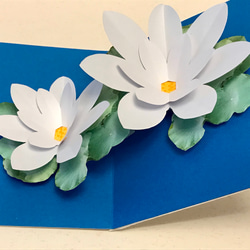 [送料無し] ポップアップカード「涼を呼ぶ蓮の花」 4枚目の画像