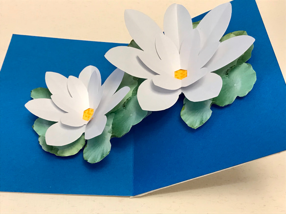 [送料無し] ポップアップカード「涼を呼ぶ蓮の花」 4枚目の画像