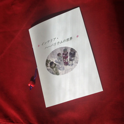 ハ―バリウム・キットとミニ本「インテリア・ハ―バリウムの世界」　お好きな花で自分で作る手づくりキット 2枚目の画像