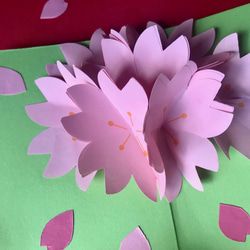 [送料無し] 桜咲く！心を込めて自分で作る桜のポップアップカード2組 1枚目の画像