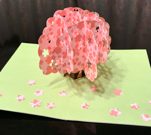 [送料無し] ポップアップカード「桜が満開です！」 1枚目の画像