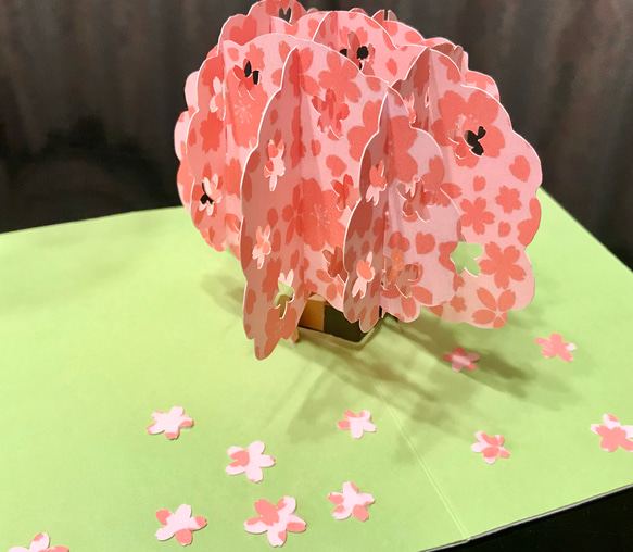 [送料無し] ポップアップカード「桜が満開です！」 2枚目の画像