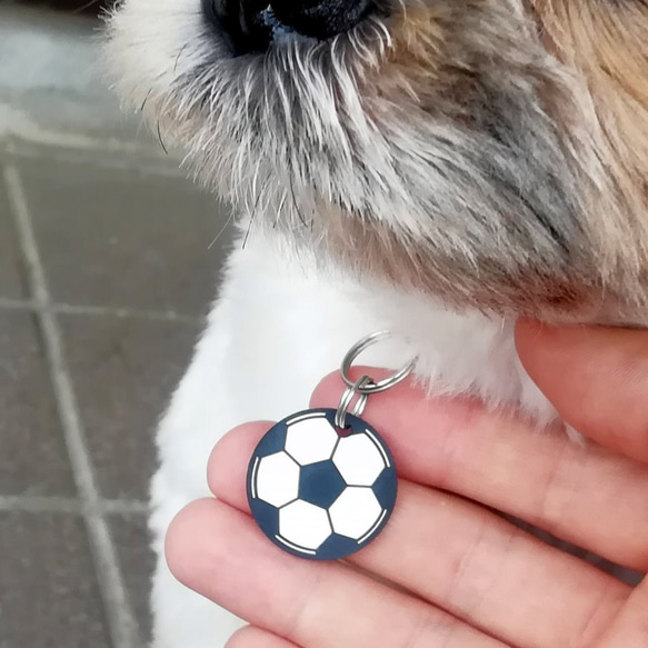 アクリル製迷子札 サッカーボール型（犬猫の名札、ネームプレート） 2枚目の画像